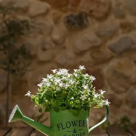 Casa Cresolera Дом отдыха